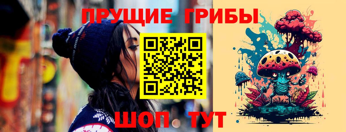 Псилоцибиновые грибы Cubensis Кольчугино
