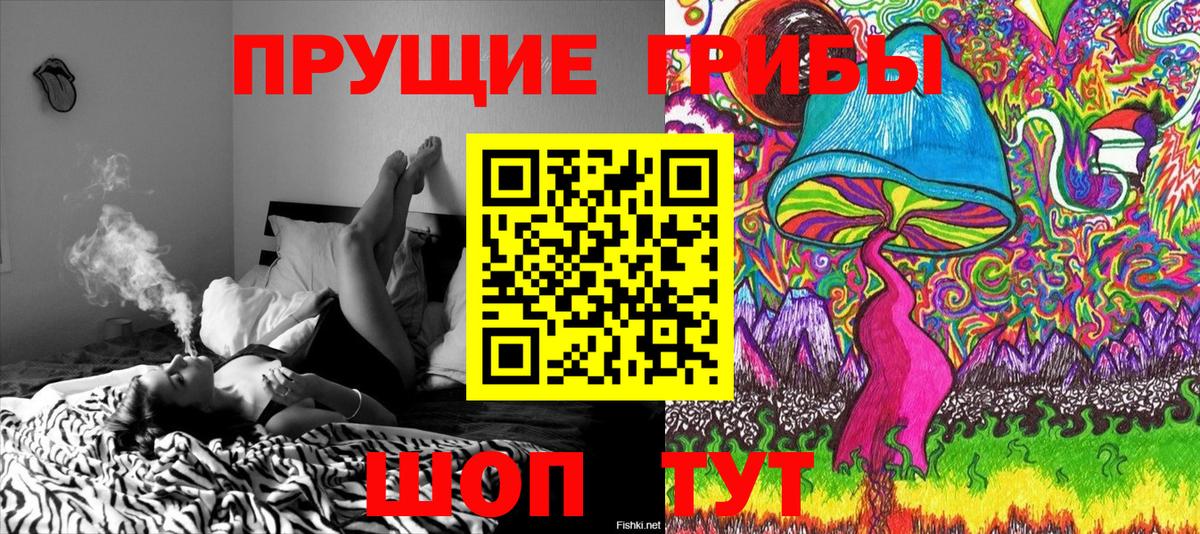дарнет шоп  Вход с VPN  Кольчугино  Галлюциногенные грибы мухоморы 